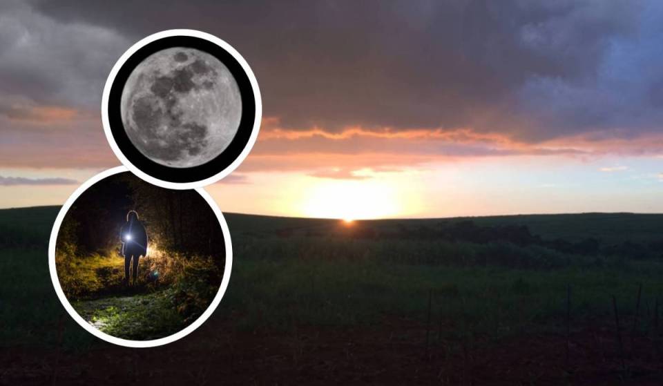 Caminhada noturna pela 2ª maior floresta urbana do Brasil atrai visitantes ao interior de SP em noites de lua cheia 