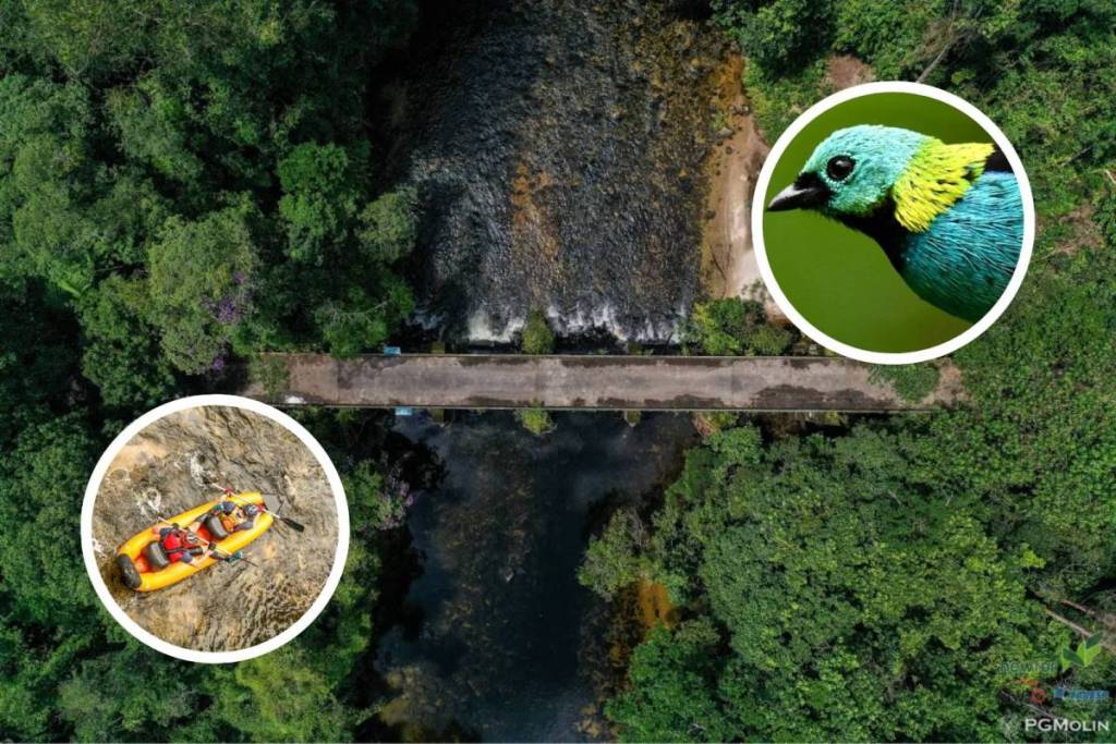 Located between Mogi and Bertioga, this reserve—home to 530 springs—features hiking trails, 7,000 hectares of Atlantic Forest, and admission starting at R$ 45