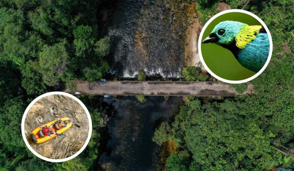 Entre Mogi e Bertioga, reserva com 530 nascentes tem trilhas, 7 mil hectares de Mata Atlântica e ingressos a partir de R$ 45