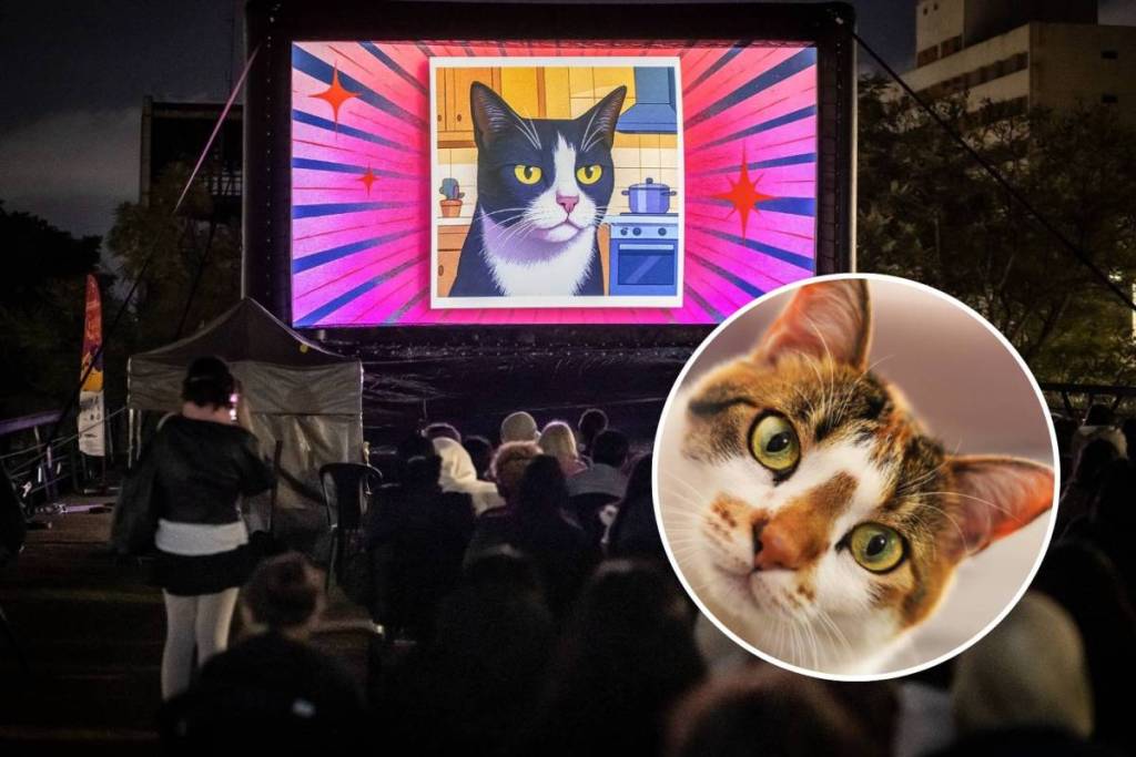 gatofest 2026 día del gato festival gratuito São Paulo