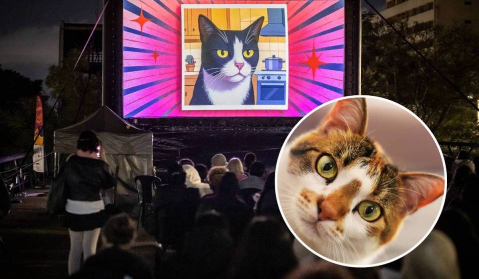 Free cat festival takes over the CCSP this Saturday with an outdoor movie screening, a flea market, and the “Gateira com Burnout” stand-up comedy show to celebrate Cat Day