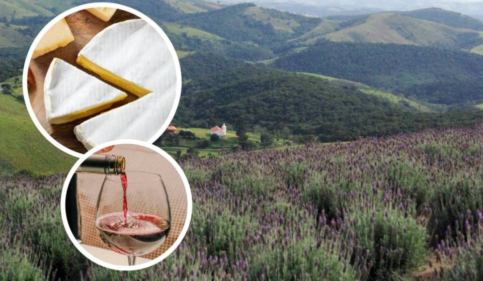 O maior festival de queijo do interior de SP tem entrada gratuita, 45 expositores artesanais e show de burrata ao vivo no feriado de setembro