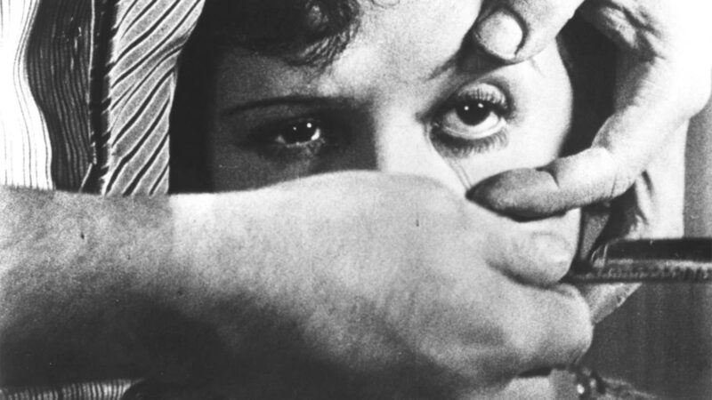 mostra amor ao cinema festivais em são paulo