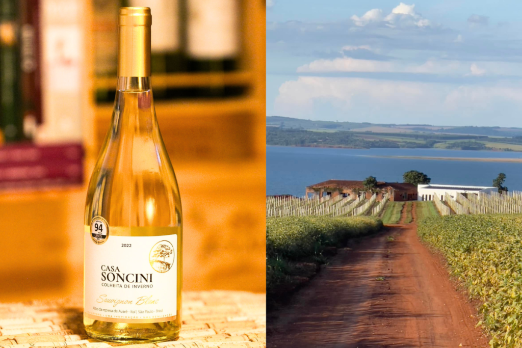 casa soncini vino blanco premiado bodega del interior de São Paulo