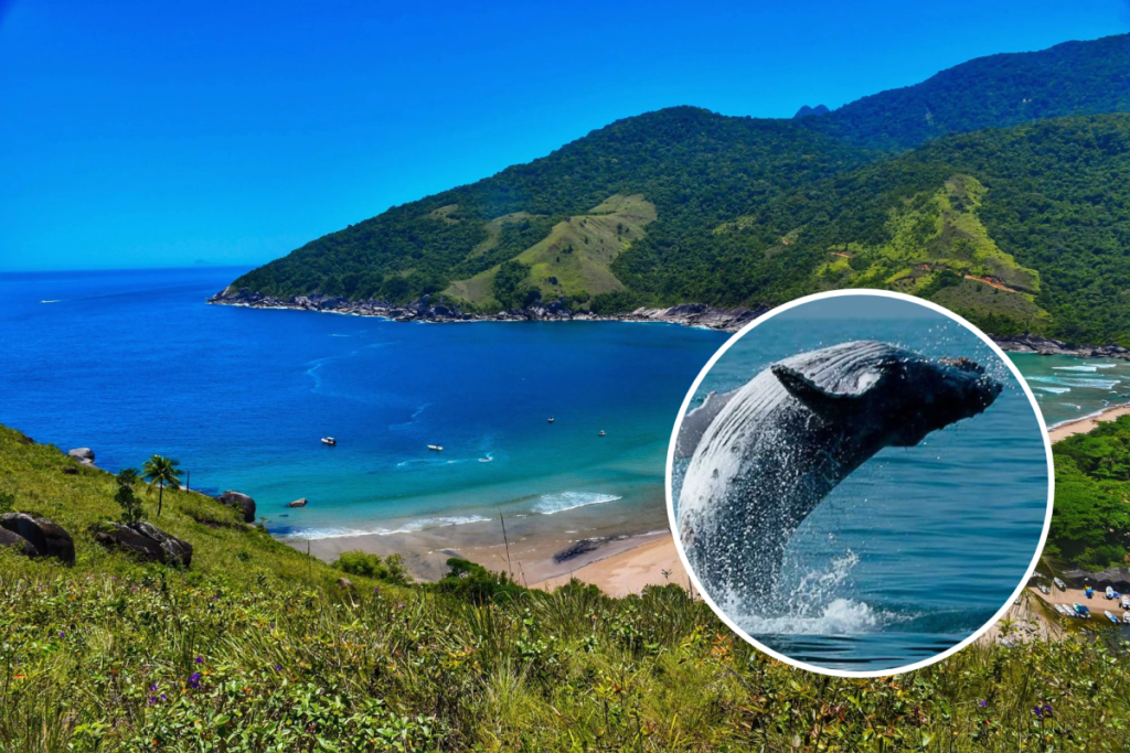 praias de ilhabela o que fazer litoral de sao paulo