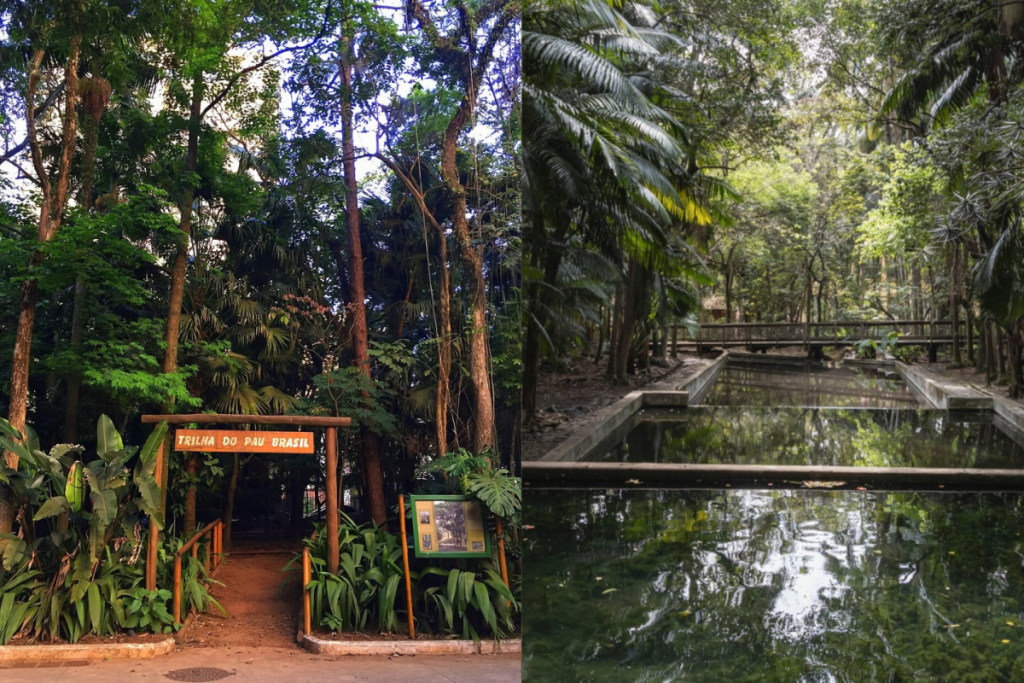 Parque da Água Branca, oásis rural localizado na Barra Funda, zona oeste de São Paulo. 
