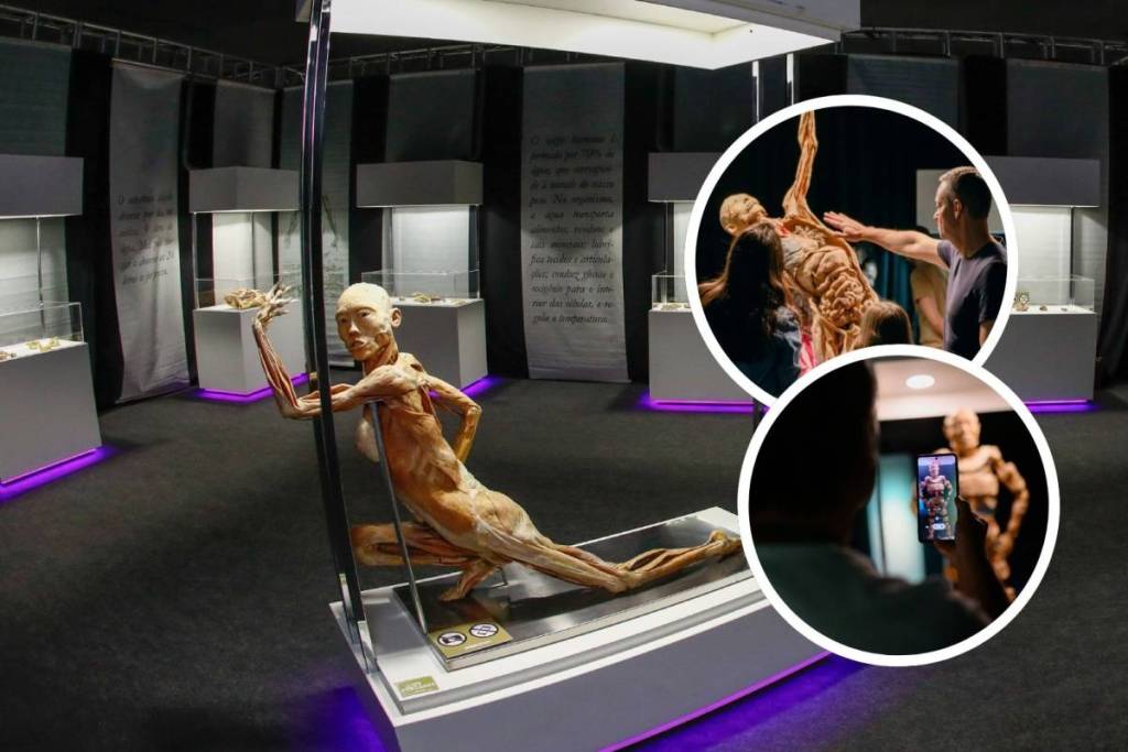 exposición del cuerpo humano en São Paulo Human Bodies