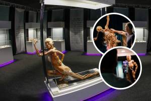 Exposição com corpos humanos reais e cerca de 100 órgãos já está de portas abertas em São Paulo!