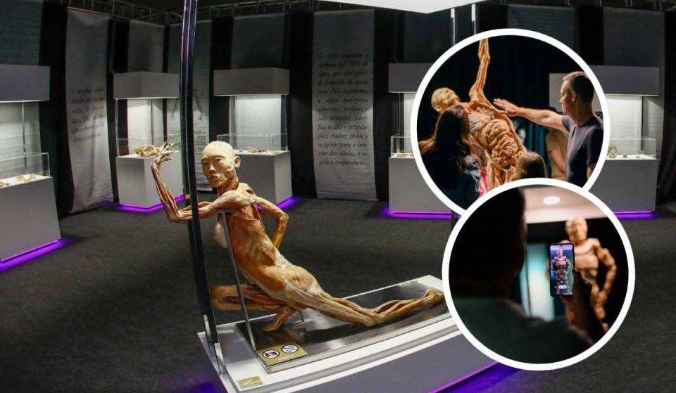 ¡La exposición con cuerpos humanos reales y unos 100 órganos ya tiene las puertas abiertas en São Paulo!