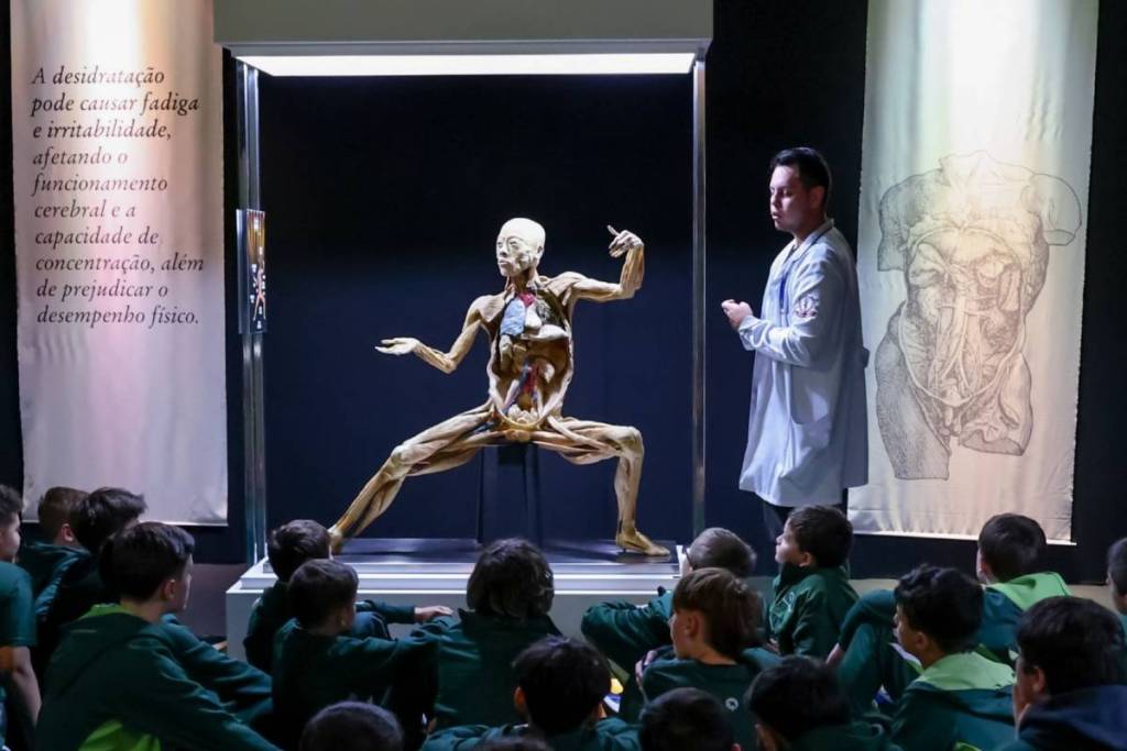 exposición sobre el cuerpo humano en São Paulo Human Bodies
