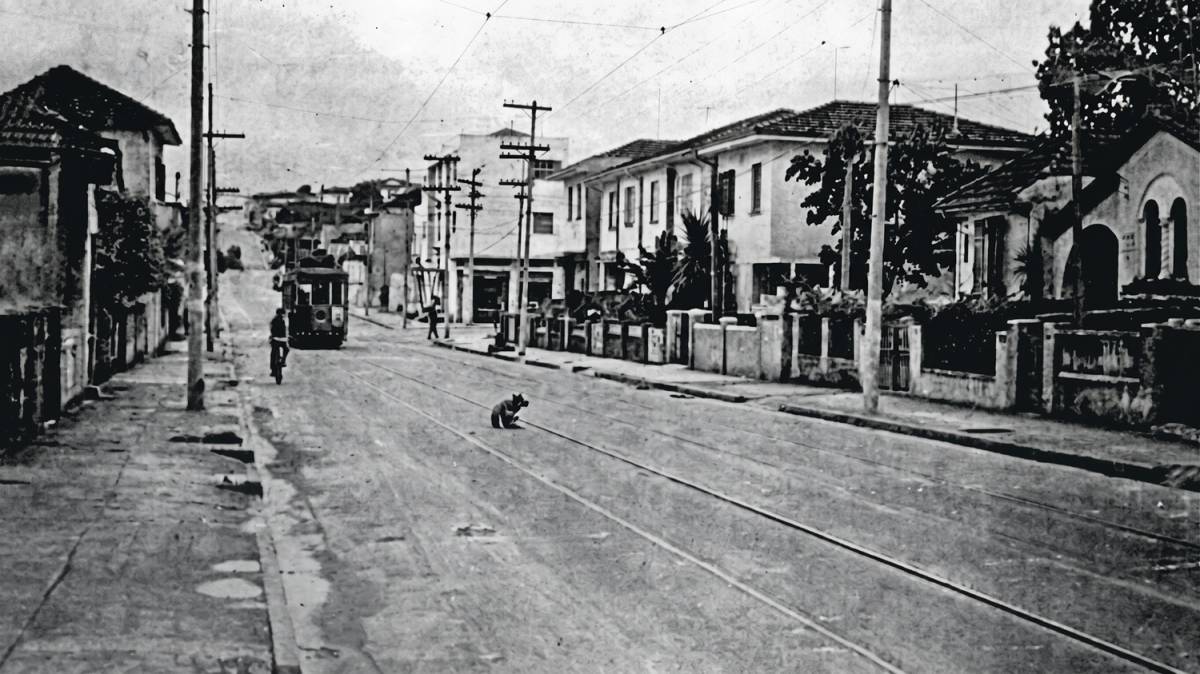 Pinheiros, el barrio más antiguo de São Paulo