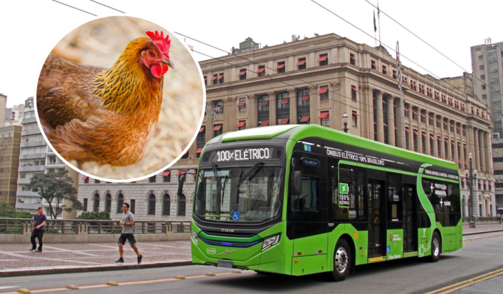 Mais lentos que galinhas: ônibus em SP chegam a rodar a 12 km/h no horário de pico e escancaram o gargalo do trânsito na capital paulista