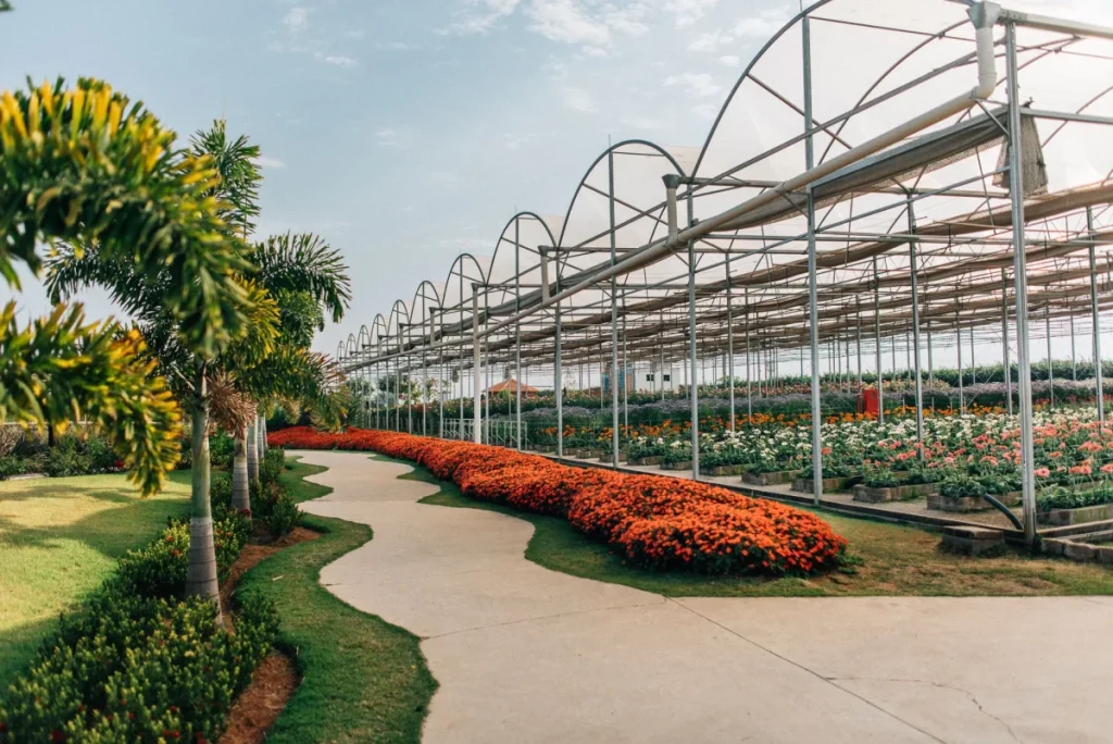 bloemen park holambra onde ver campos de flores em sp