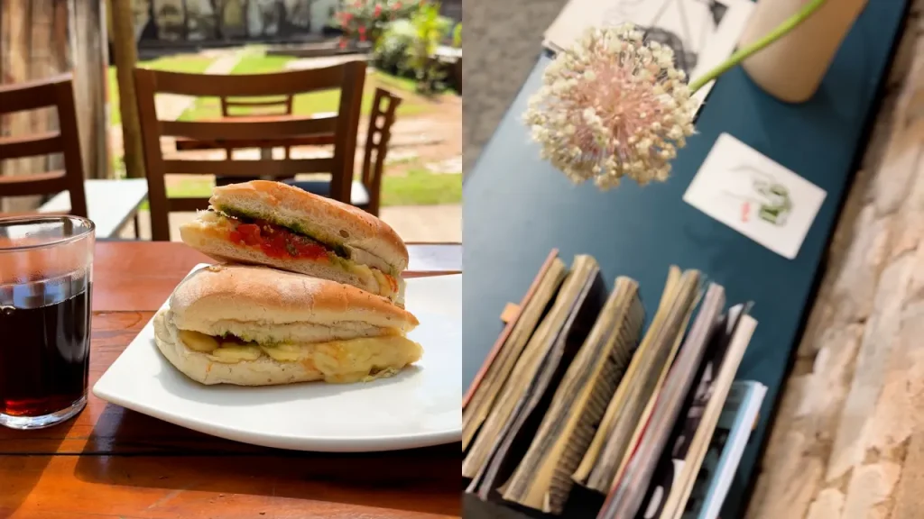 Desde vistas a ruinas históricas hasta un café en un laboratorio de película: 3 refugios al aire libre para disfrutar de la primavera en São Paulo