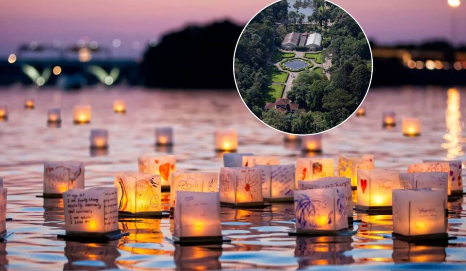 Un parque increíble en São Paulo se convierte en una «pequeña Tailandia» solo durante dos noches: este tesoro de la Mata Atlántica acoge miles de farolillos flotantes