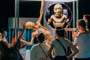 Exposição vista por milhões em todo o mundo chega a SP: o que corpos humanos e órgãos 100% reais vão te ensinar