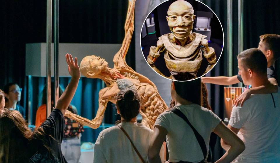 La exposición que han visto millones de personas en todo el mundo llega a São Paulo: lo que te enseñarán los cuerpos humanos y los órganos 100 % reales