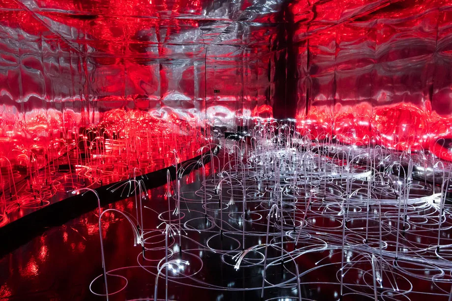 (in)verse reflections in wonderland exhibition farol santander alice in wonderland sp