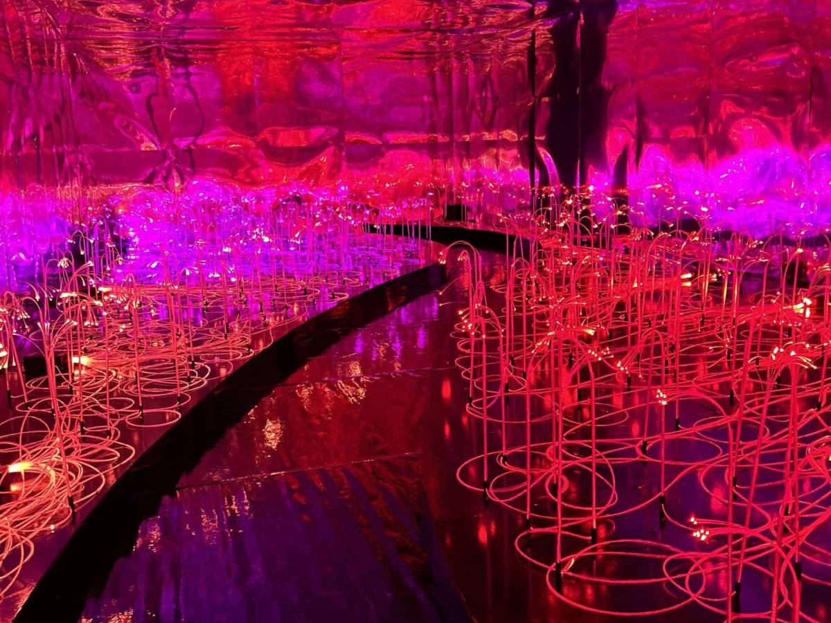 (in)verse reflections in wonderland exhibition farol santander alice in wonderland sp