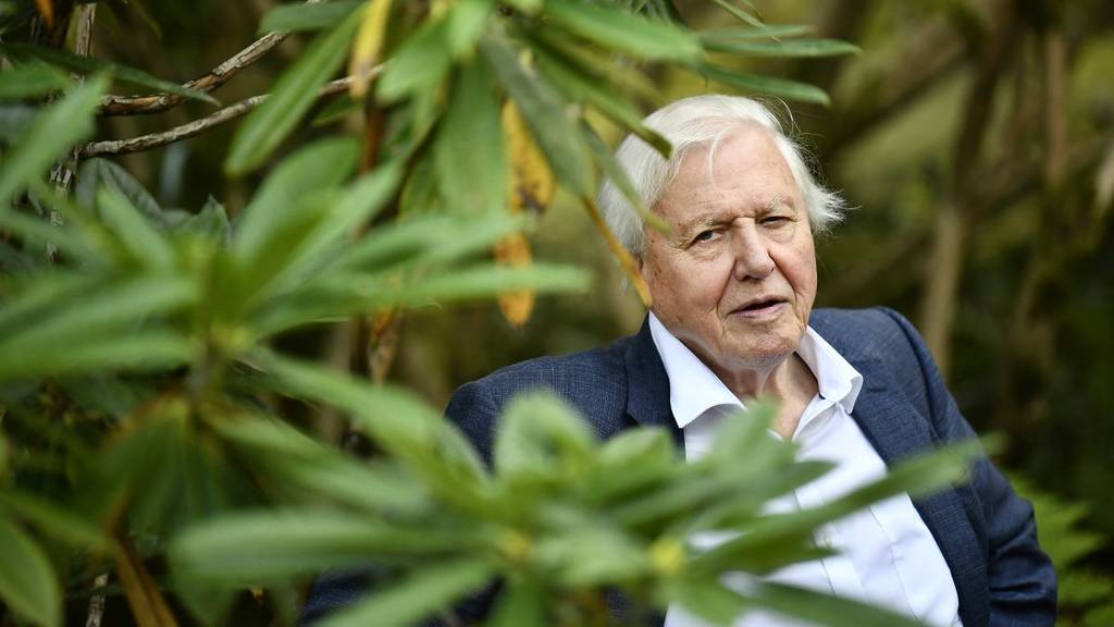 David Attenborough’s Latest Planet Earth Documentary Series Airs This Week