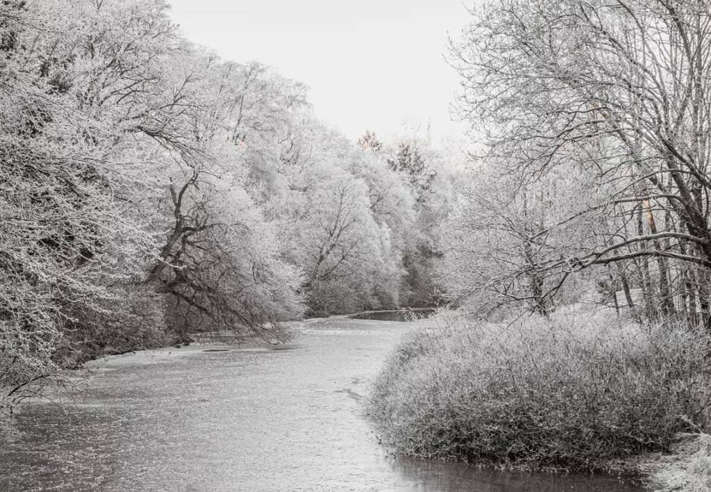 Edinburgh Is The Most Likely City In The UK To Witness Snow This Christmas