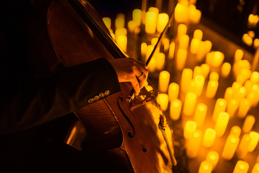 Close up of a musician playing the cello
