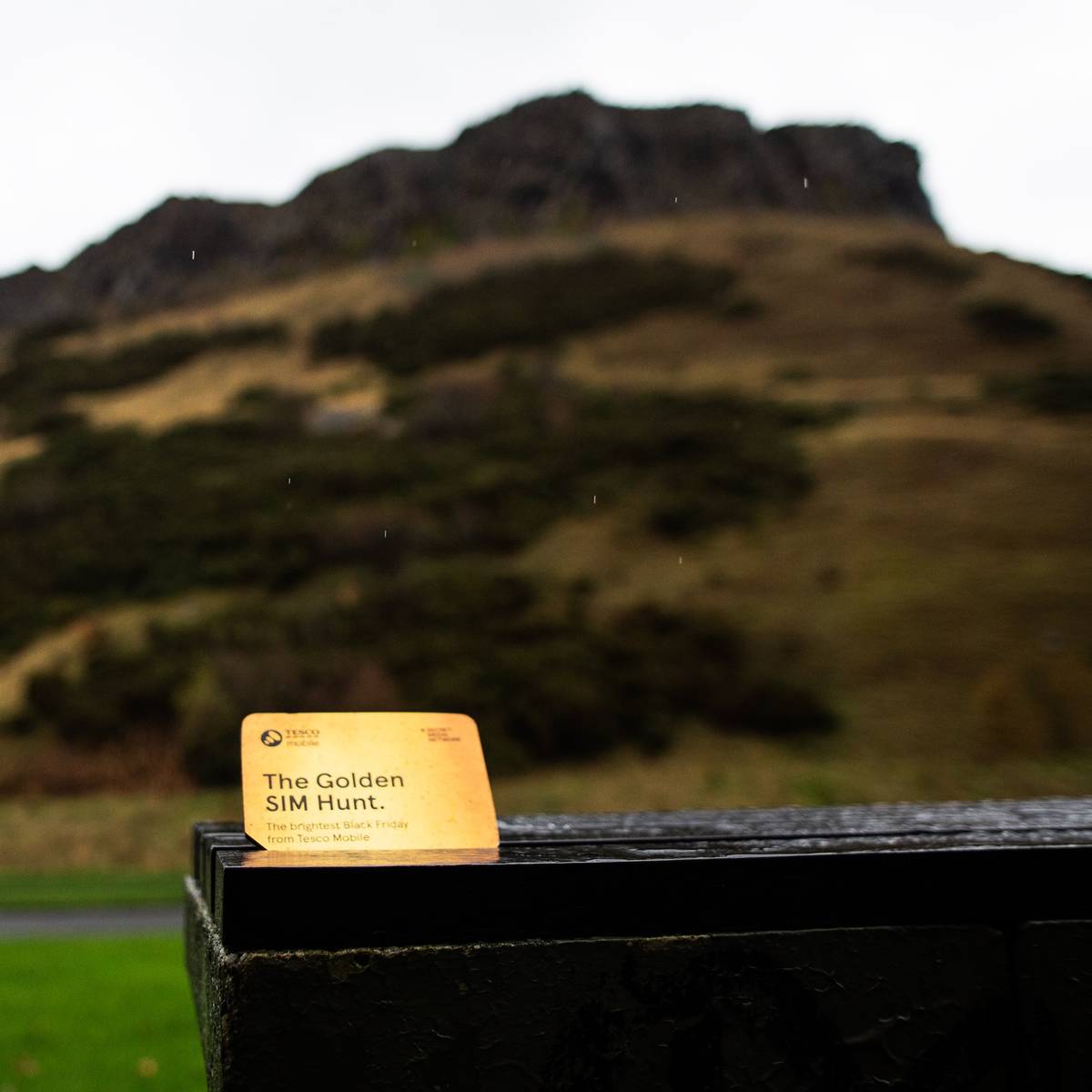 a tesco mobile golden sim card hidden at an edinburgh viewpoint