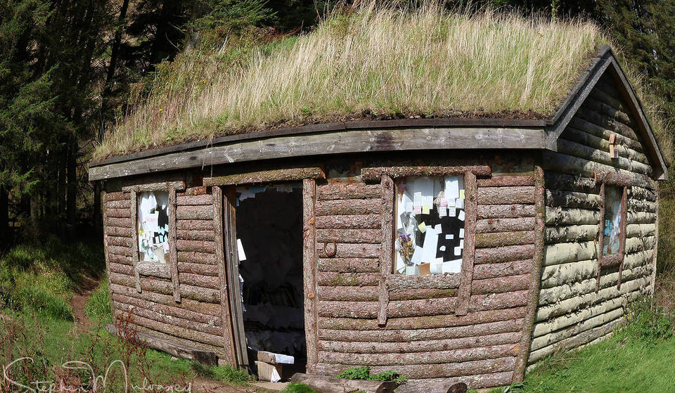 After 20 years, this “secret” library hidden in the woods of Scotland is finally being discovered by the world – made from 300 fallen trees