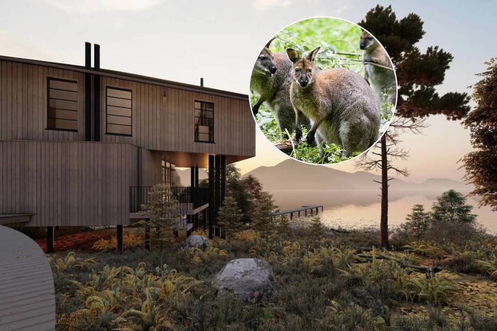 This hidden gem ‘wallaby island’ two hours from Edinburgh is now up for sale – and it comes with plans for a £7 million luxury lodge