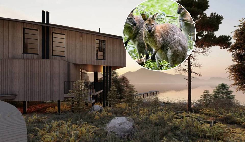 This hidden gem ‘wallaby island’ two hours from Edinburgh is now up for sale – and it comes with plans for a £7 million luxury lodge