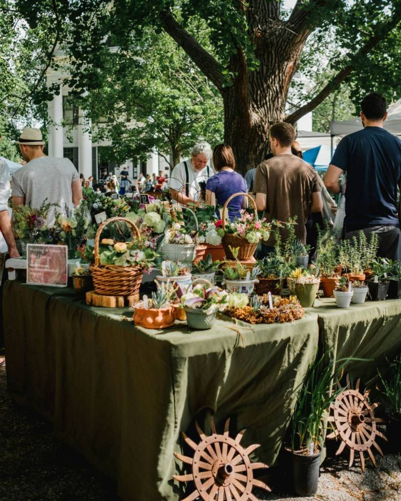 Flower bouquets and small plants on a market table, with people in the background