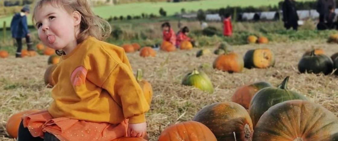 5 pumpkin patches near Edinburgh where you can pick your own pumpkins this October
