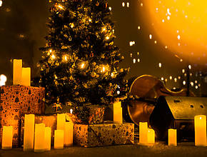 The Breathtaking Candlelight Concert That’s Bringing Tranquil Holiday Magic To Tulsa