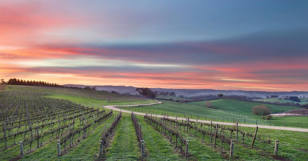 9 Wineries And Cellar Doors In The Adelaide Hills To Experience The Best Of The Region Secret