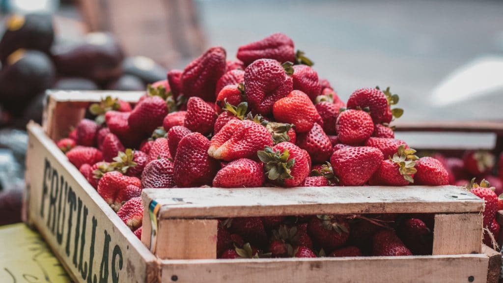 Strawberry Picking Season Is In Session But The Best Months Are Still Ahead Of Us · Beerenberg Family Farm