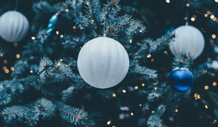 13 Festive Things You Can Do This Christmas In Adelaide