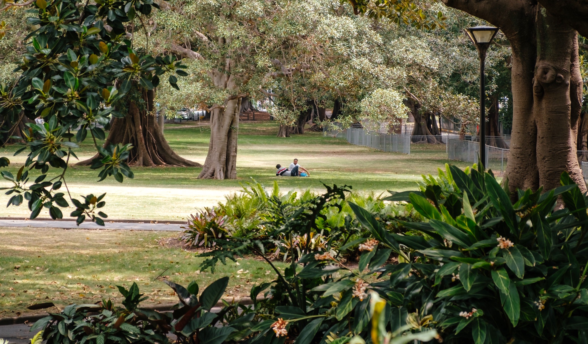Your Guide To The Botanic Gardens In October Secret Adelaide