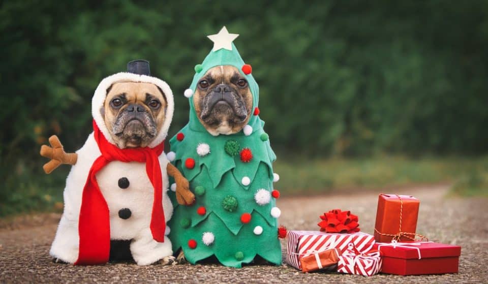 Treat Your Furry Friends At This Christmas Market For Dogs In Glenelg