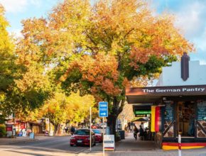 8 Fabulous Things To Do When You Visit Hahndorf