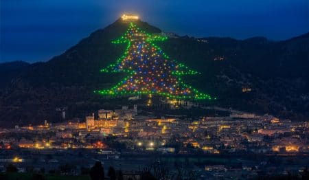 You Can Adopt A Light On The World’s Largest Mountainside Christmas Tree In Italy