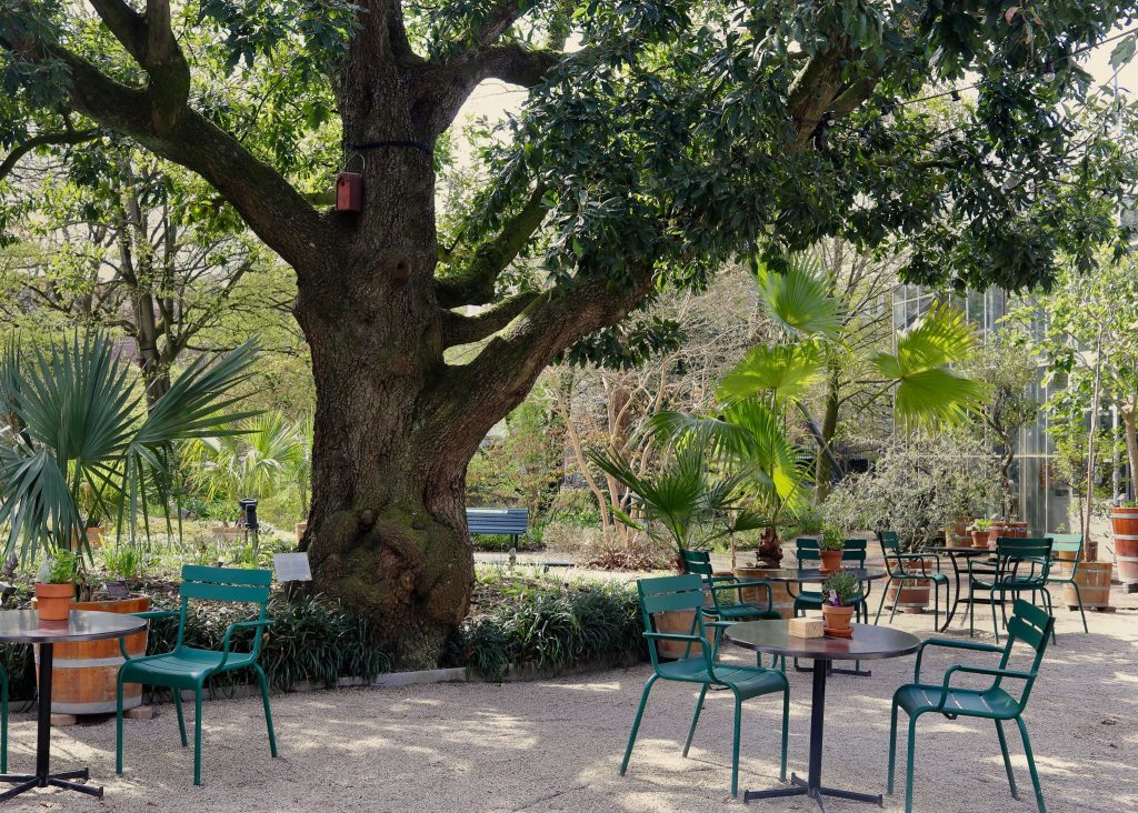 8 Quiet And Leafy Spots In Amsterdam To Take Some Time Out And Relax