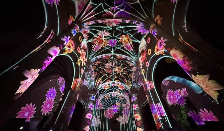 Un nuovo spettacolo coinvolgente ad Amsterdam: vivi le “Quattro stagioni” di Vivaldi come mai prima d’ora