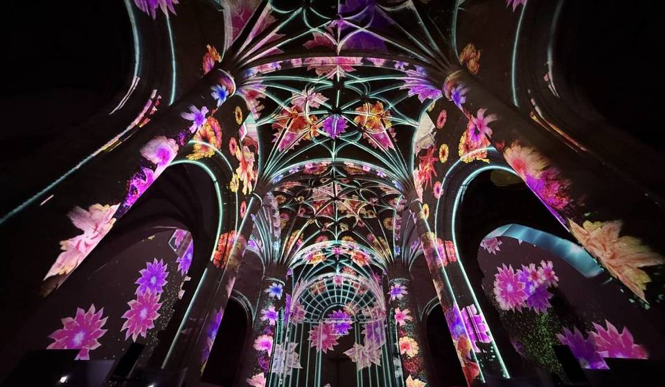 Ein neues immersives Spektakel in Amsterdam: Erleben Sie Vivaldis „Vier Jahreszeiten“ wie nie zuvor