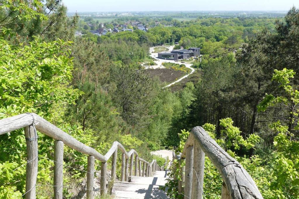 A spectacular view from a tall wooden staircase in the dunes, looking out over the green treetops toward the modern Schoorlse Duinen Nature Center in the valley.