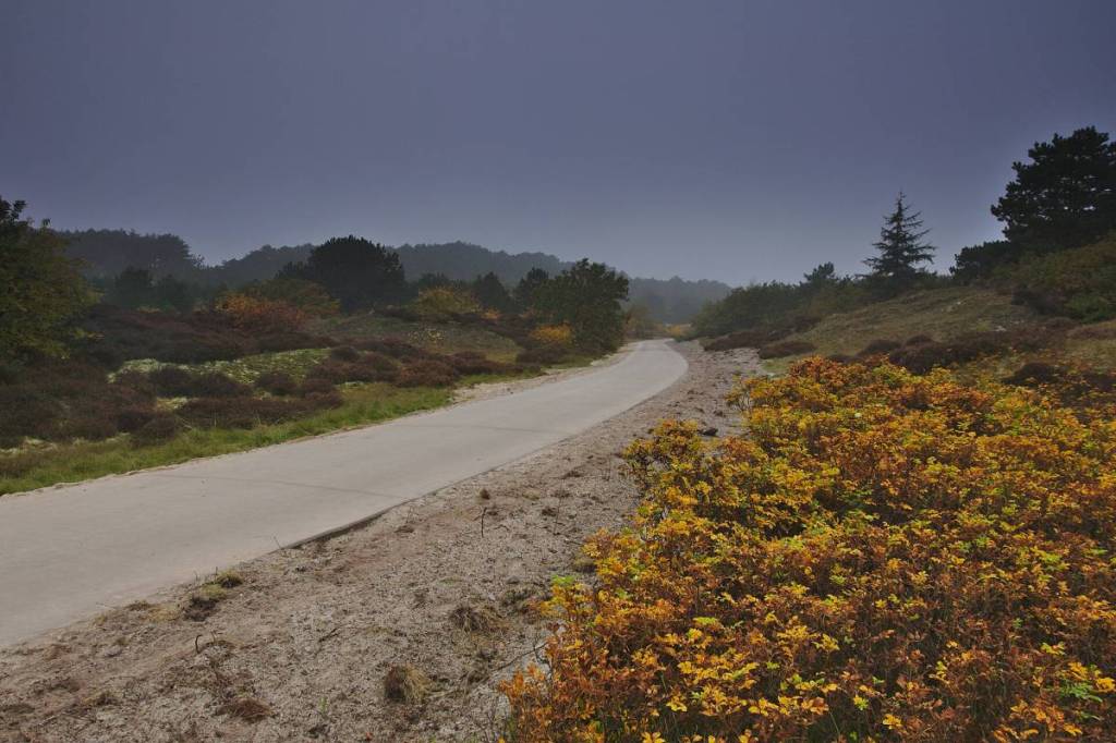 A paved walking and biking trail that winds through the rolling heathland of the Schoorl Dunes on an atmospheric, misty day