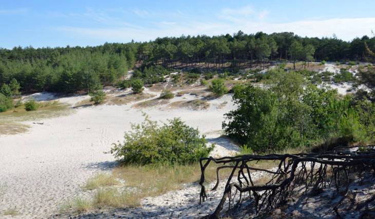 Op minder dan een uur rijden van Amsterdam vind je de hoogste en breedste duinen van Nederland, met een 55 meter hoge klimduin die rechtstreeks in een historisch dorp stort