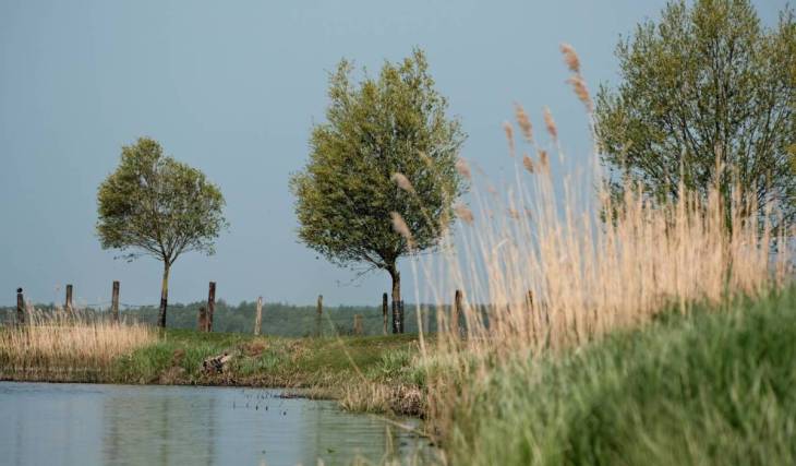 Op minder dan 20 minuten van Amsterdam ligt een uniek recreatiegebied van 650 hectare dat dankzij zijn zeldzame natuur de status van beschermd Europees vogelparadijs heeft