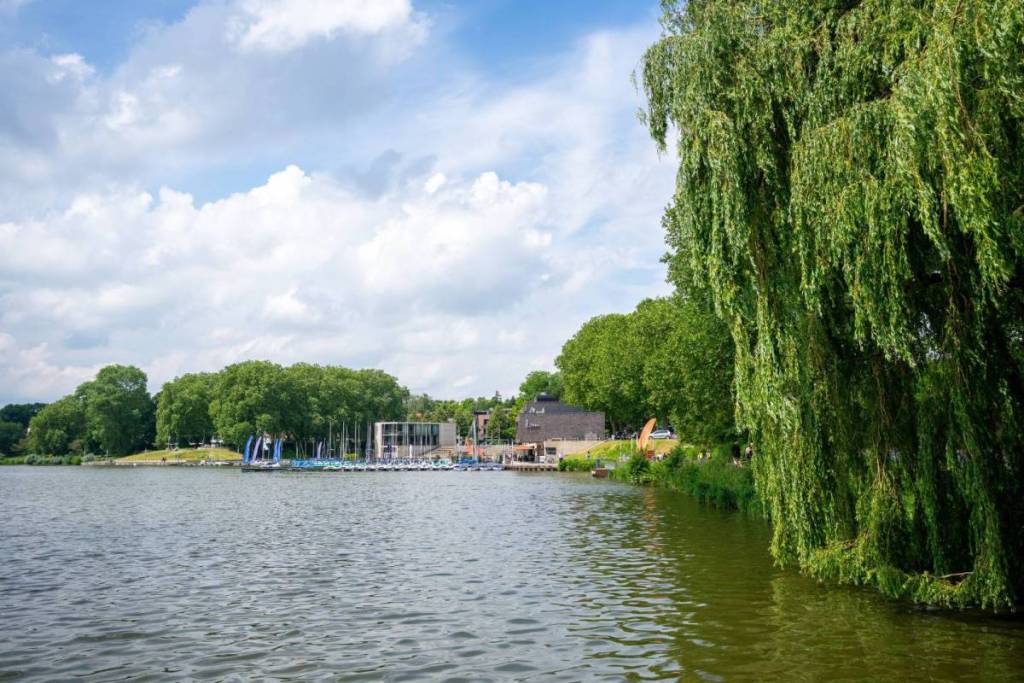 Een weids uitzicht over het kabbelende water van de Stootersplas in Het Twiske, met rechts een grote treurwilg die over het water hangt en in de verte een jachthaven met zeilboten en gebouwen onder een blauwe lucht met witte wolken.