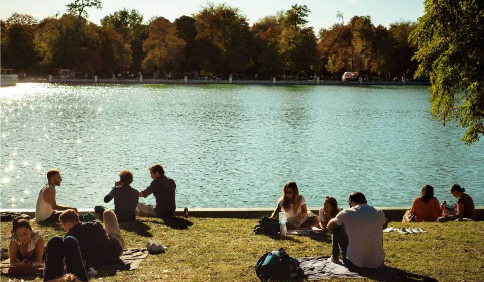 Kostenlose Sommerfestivals und Aktivitäten in Amsterdam: 10 tolle Ausflüge, die dich nichts kosten
