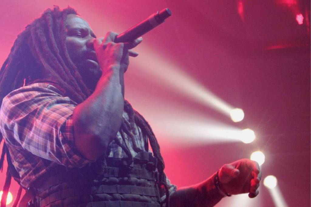 Kymani Marley, son of Bob Marley, performs at a reggae festival in France.